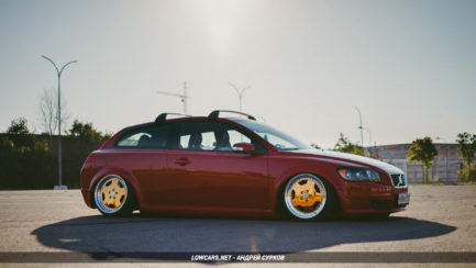 Volvo C30 Bagged Parrot